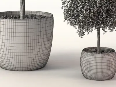 Greanplants two trees in pots Free 3D model