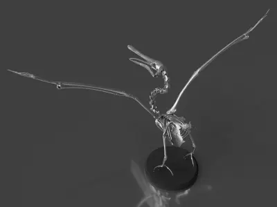 Silver Pelican Skeleton for Art Project 3D model