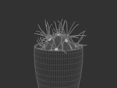  Baby Euphorbia Cactus Potted Plant Model 