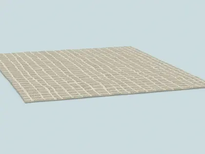Contemporary Area Rug 3D model