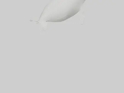 Beluga Whale swimming model Low-poly 3D model