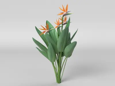 Bird of Paradise 3D model
