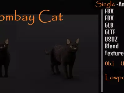 Bombay Cat Free 3D model