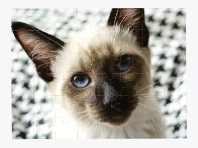 48-piece jigsaw puzzle Free 3D model