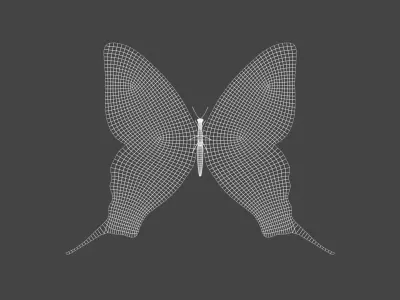BFLY-003 Butterfly Low-poly 3D model