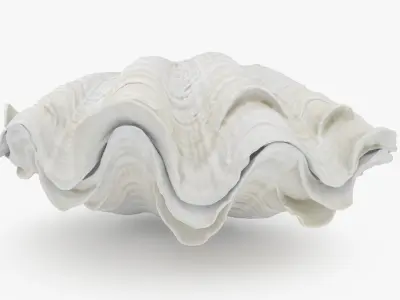 Giant Clam Shell 3D model