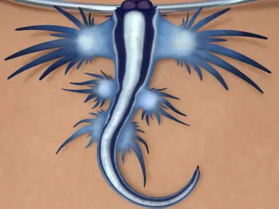 Glaucus atlanticus necklace low poly Low-poly 3D model