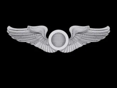 USAAF  Aircraft Observer Wings Badge 3D model