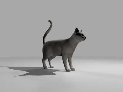 White Cat Rigged Low-poly 3D model