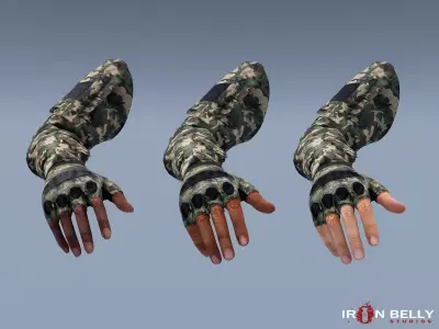 AAA Animated FP Arms Pack  Low-poly 3D model