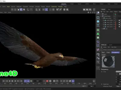 Realistic Animated Golden Eagle Low-poly 3D model