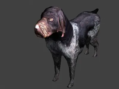 Deutsch Drahthaar Hunting Dog Low-poly 3D model