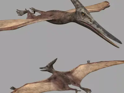 Pterosaur Forever 8K - 3d animated model 3D model
