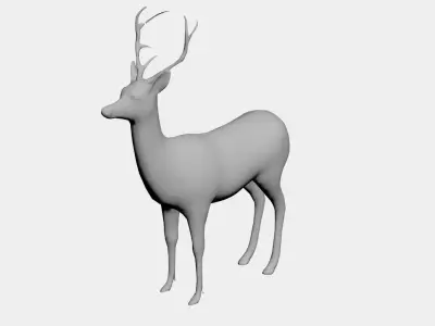 Deer-wild animals 3D model