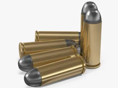 Cartridges .45 Colt 3D model