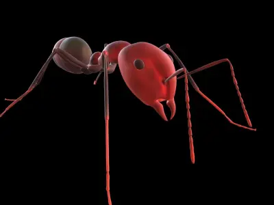 3D lowpoly Model of an Ant  Ready to use  Low-poly 3D model