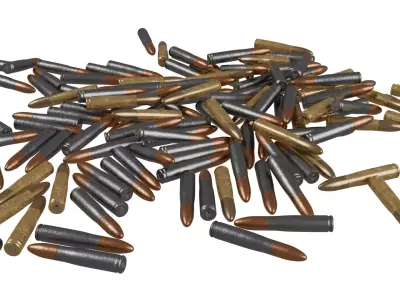 Pile Of Bullet 3D model