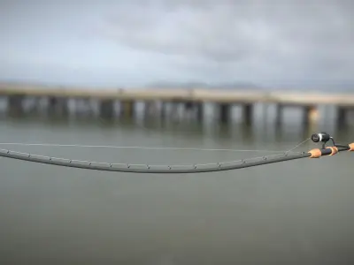 Fishing Pole Low-poly 3D model