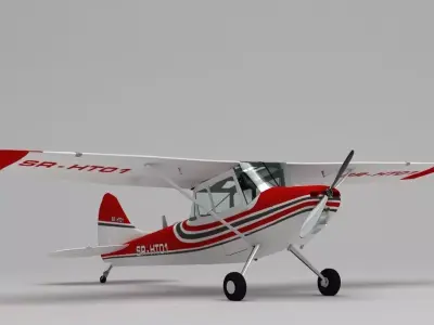 Cessna  Bird Dog 3D model