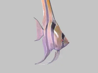 Scalar fish Low-poly 3D model