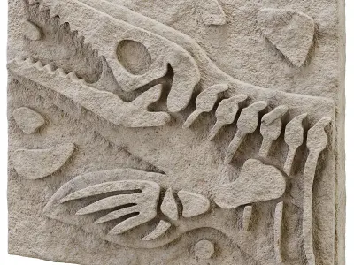 DIY Fossil Art Collection 3D model