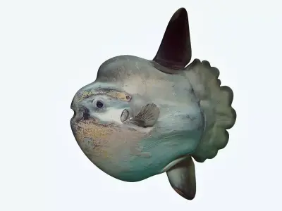 Sunfish 2 puffer fish 3D model