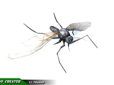 Low-Poly Mosquito Rigged Animated 3d model Low-poly 3D model