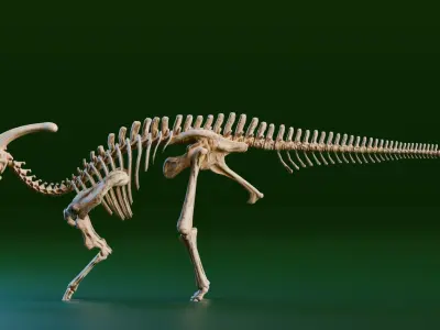 Realistic Ancient Reptilians Fossil - Parasaurus Low-poly 3D model