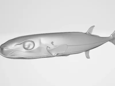 Puffer fish 3D model