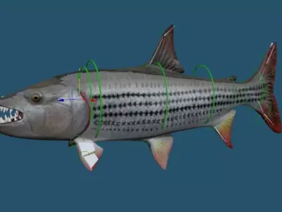 goliaht tiger fish rigged Low-poly 3D model