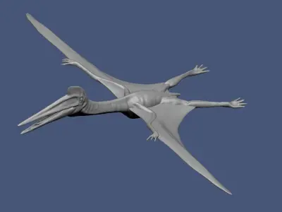 Dinosaur Basemesh Pack 01 3D model