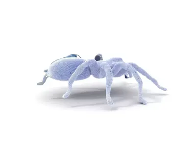Blue Tarantula Arachnid model pack Low-poly 3D model