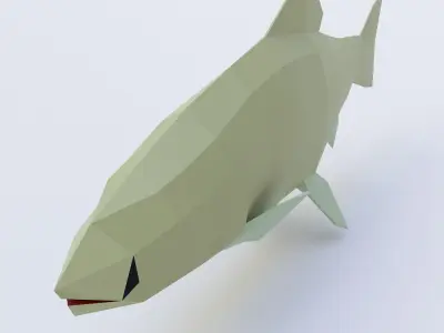 Rainbow trout fish low poly 3d model  Low-poly 3D model