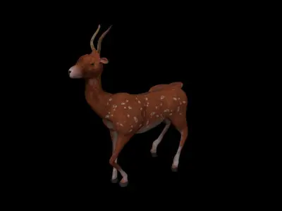 deer forest Low-poly 3D model