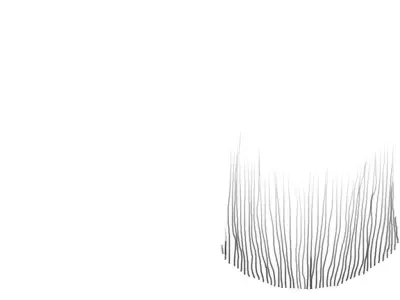 Big Blue Whale Free 3D model