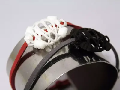 Turtly evolution 3D print model