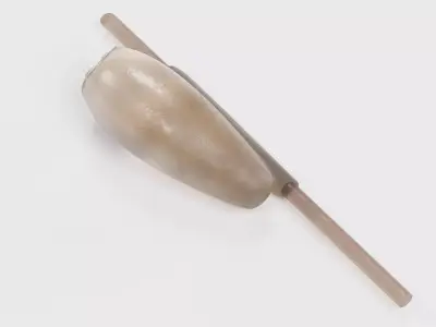 -Head Louse Nit- 3D model