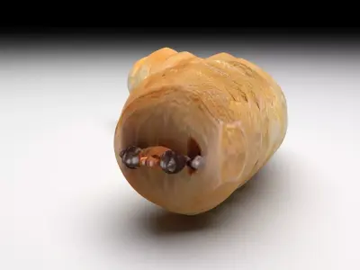Maggot 3D model