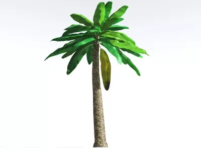 EVERYPlant Bjuvia Cycad LowPoly 2 --12 Models-- Low-poly 3D model