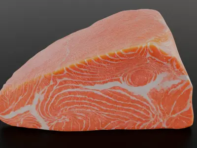 Salmon Fillet 3D model