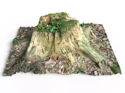 Forest Tree Stump 4K -Part 9- Free low-poly 3D model