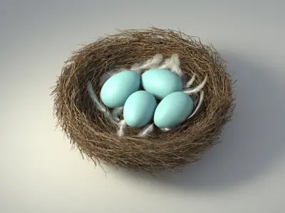 Birds Nest 3D model