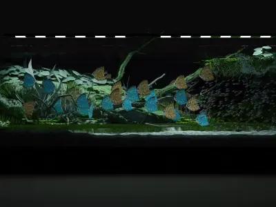 Aquarium fish tank with plants in it 3D model