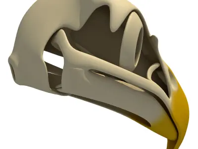 Bones of Eagle Skull 3D model