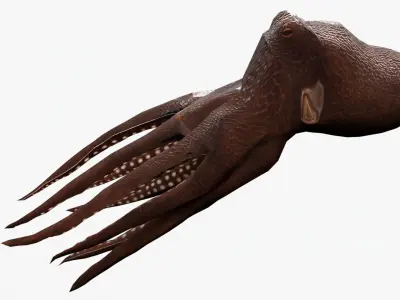 lowpoly rigged octopus rigged Low-poly 3D model