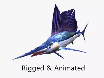 animated sailfish billfish Low-poly 3D model
