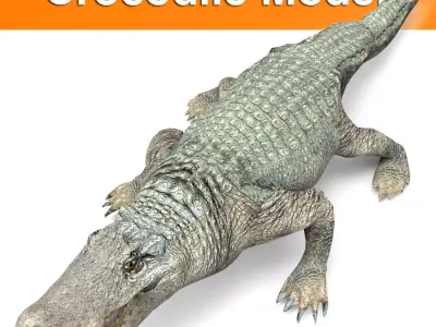 Crocodile 3D Models game ready low poly Low-poly 3D model