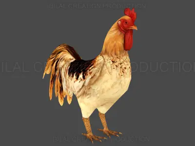 Rooster Animated Low-poly 3D model