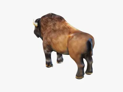 Bison Free 3D model