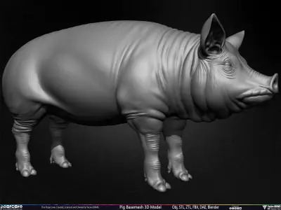 Pig Basemesh 3D Model Low-poly 3D model